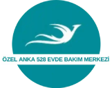 anka 528